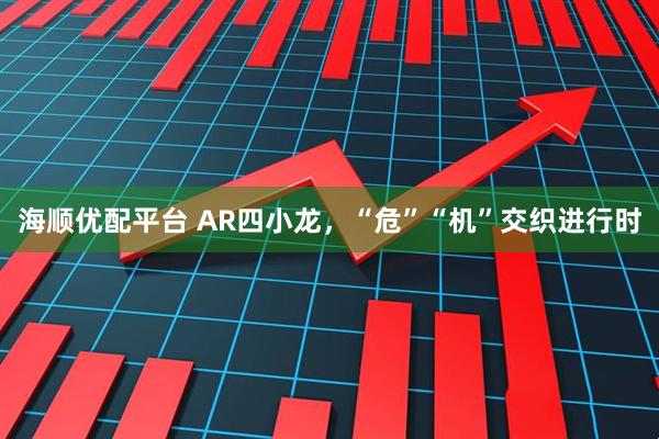 海顺优配平台 AR四小龙,“危”“机”交织进行时