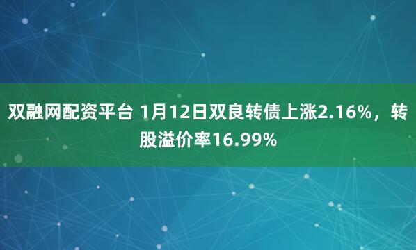 双融网配资平台 1月12日双良转债上涨2.16%，转股溢价率16.99%